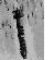 BASM bombes � sous munitions